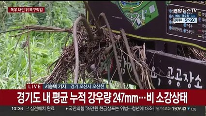기록적인 폭우에 경기도 곳곳 피해…배수 등 복구 작업