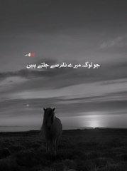 Dailymotionvideos- New video- poetry- Urdu poetry ❤️‍- Tranding video 2024