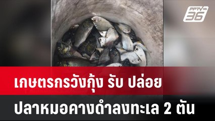 เกษตรกรวังกุ้ง รับ ปล่อยปลาหมอคางดำลงทะเล 2 ตัน | โชว์ข่าวเช้านี้ | 19 ก.ค. 67