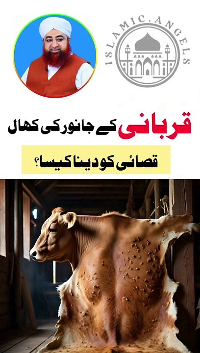 Qurbani k janwar ki khaal qasaii ko na dain- Urdu/Hindi