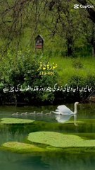 Quran tilawat allahoo akbar