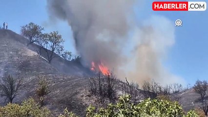 Manisa'da tarım arazisinden ormana sıçrayan yangına müdahale başlatıldı