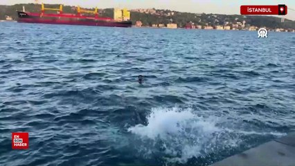 İstanbul'da sıcak havadan bunalanlar Boğaz'ın serin sularında serinledi
