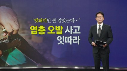 "멧돼지인 줄 알았는데..." 엽총 오발 사고 잇따라 [앵커리포트] / YTN