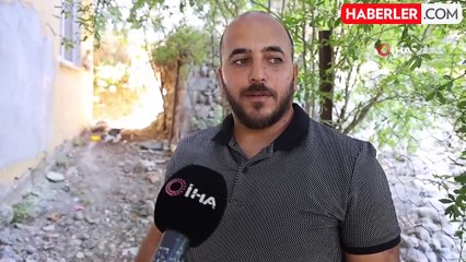 'Kahraman' isimli kedinin eve girmeye çalışan yılanla mücadelesi kamerada