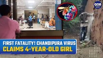 Gujarat's First Chandipura Virus Death Confirmed: 4-Year-Old Girl Succumbs as Outbreak Spreads