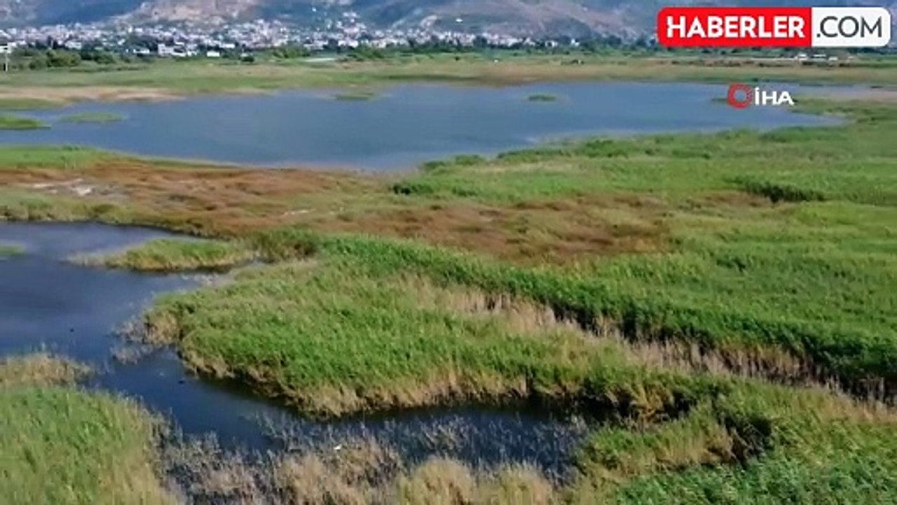 Kışın yağan yağmurlarla dolan kuş cenneti kavurucu sıcaklara göçmen kuşlara ev sahipliği yapıyor