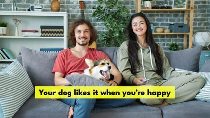 Mystery of How Dogs Hear Our Voices