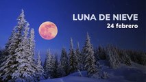 LAS LUNAS LLENAS DE 2024