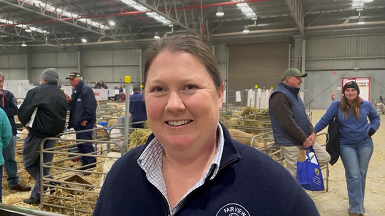 Samantha Potter, Fairview Polwarths | Stock & Land