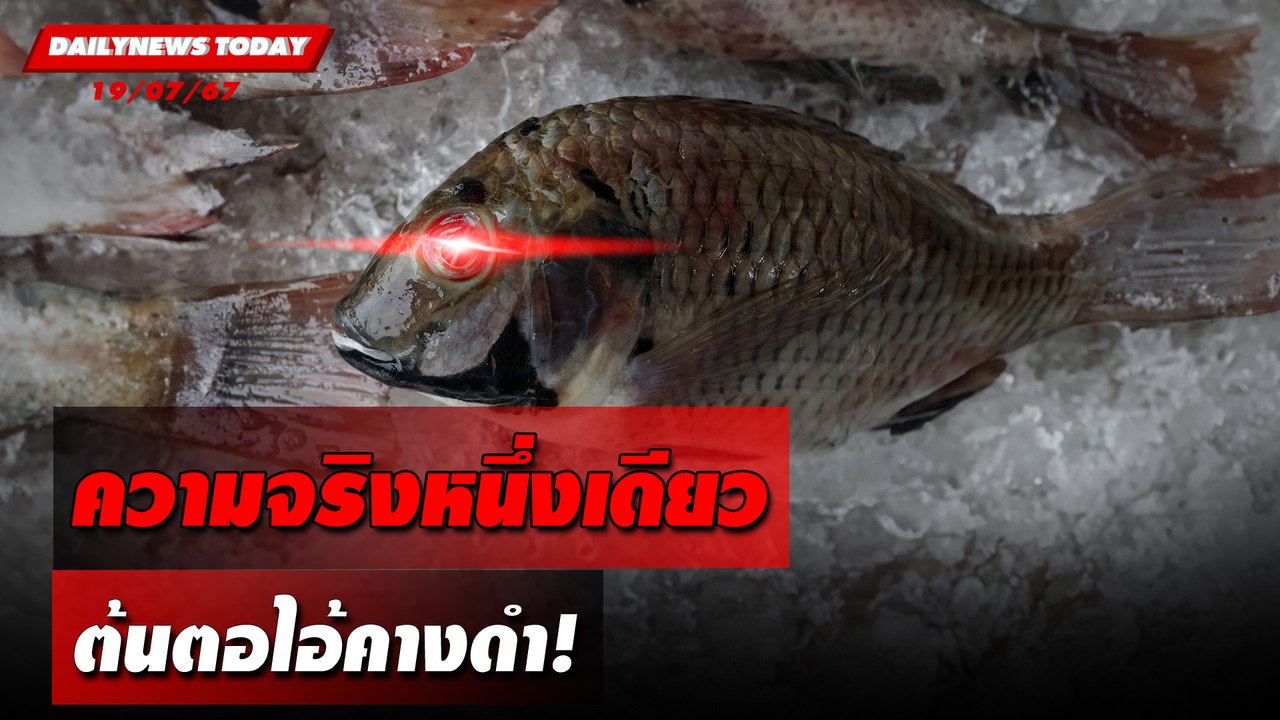ความจริงหนึ่งเดียว ต้นตอไอ้คางดำ! | DAILYNEWSTODAY 19/07/67