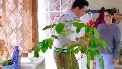 LH_ 34 choloplay.com