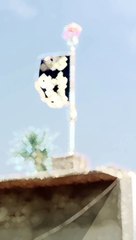 Alam abbas a.s Ka ucha rahe ga