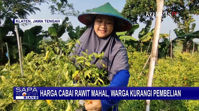 Harga Cabai Rawit Mahal, Warga Klaten Pilih Kurangi Pembelian