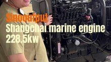 Shangchai marine engine 228.5kw(1)