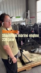 Shangchai marine engine 228.5kw(1)