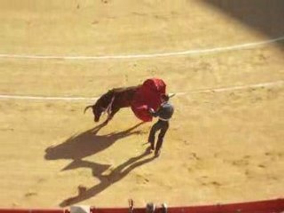 Olé