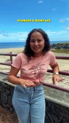 Plongée Inoubliable à La Réunion 🌊