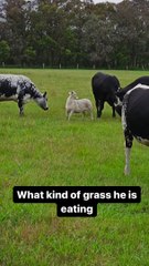 هل يمكنني الحصول على 👍 من فضلك https://chikraighotoops.com/4/8492279