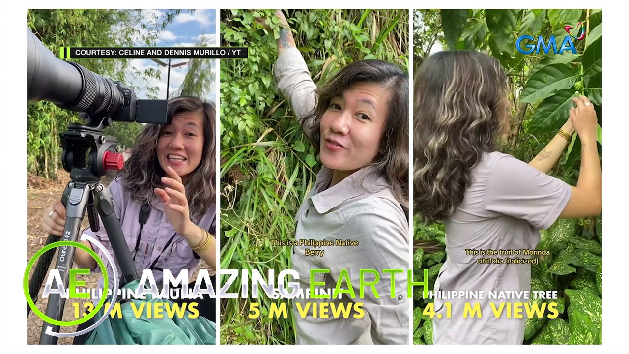Amazing Earth: The incredible discoveries of a biodiversity advocate!