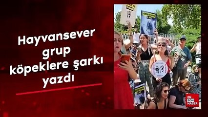 Hayvansever grup, köpeklere şarkı yazdı