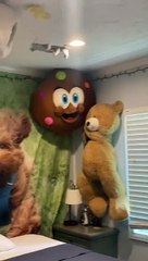 « Il y a CERTAINEMENT des caméras là-dedans » : une femme loue un Airbnb sans avoir vu les photos au préalable. Elle n'arrive pas à croire ce qu'il y a à l'intérieur