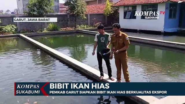 Pemkab Garut Siapkan Bibit Ikan Hias Berkualitas Ekspor