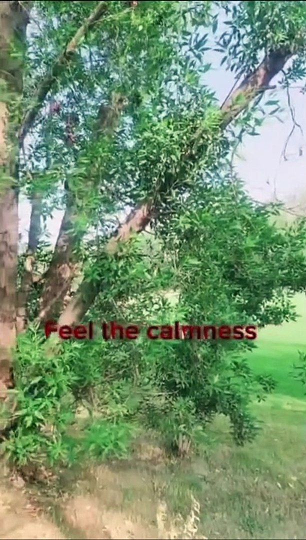 ⁣Calmness  #viral #shorts #follow #attidute #self #selfcalm #calm