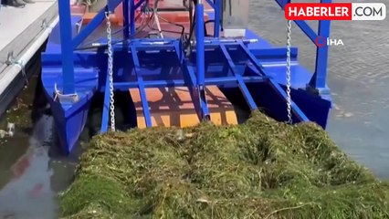 Eğirdir Gölü'nde ot temizleme çalışmaları başladı