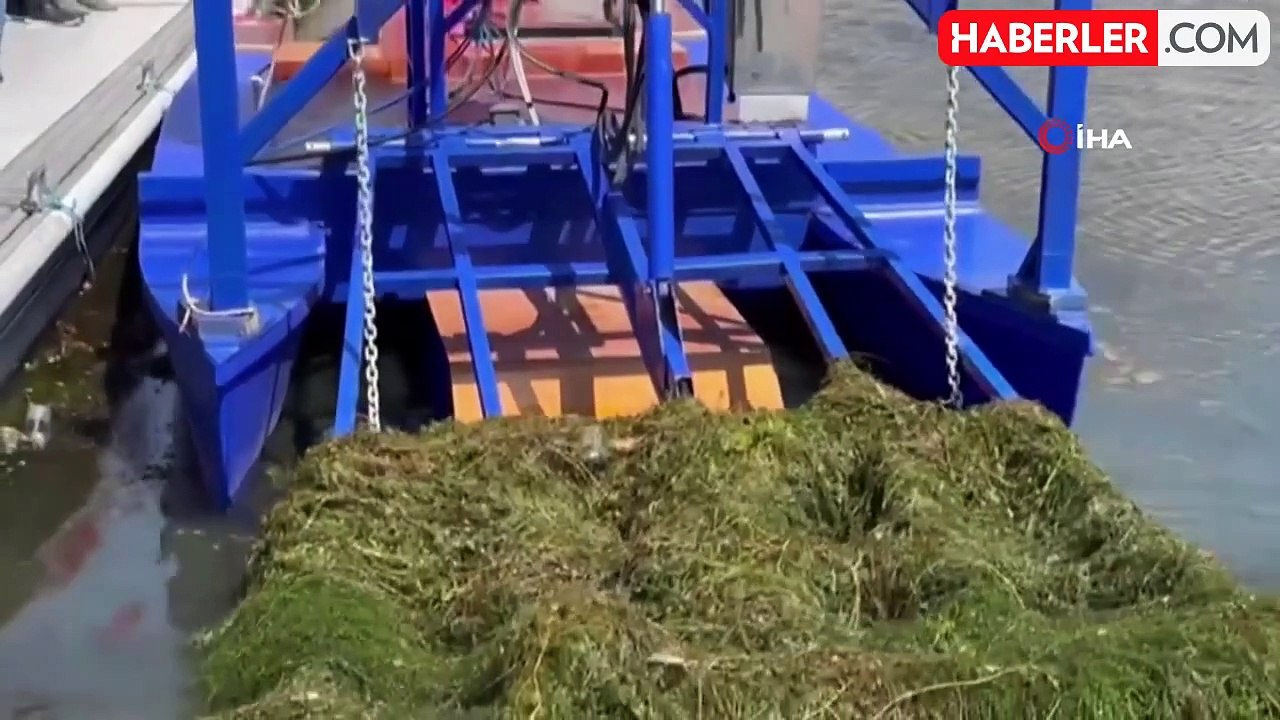 Eğirdir Gölü'nde ot temizleme çalışmaları başladı