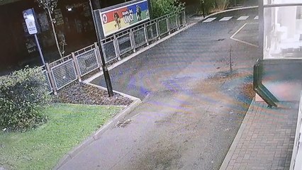 Burglars caught after making stop at McDonald's driv-thru