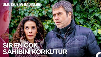 Yasemin'i Köşeye Sıkıştıran Tehditler - Umutsuz Ev Kadınları