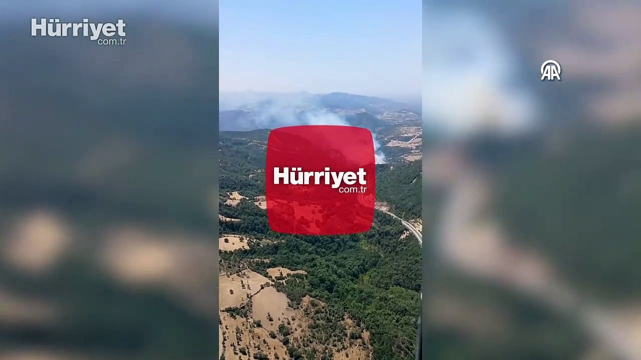 Balıkesir'in Havran ilçesinde orman yangını