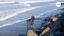 La passeggiata sulla spiaggia con il cane si trasforma in un incubo (Video)