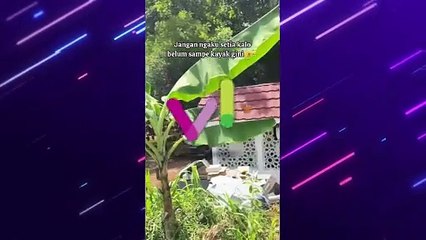 CINTA SEJATI! Pria Ini Buat Rumah Kecil Terdapat Makam Istri