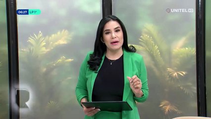 Video: Sujetos ingresan a una vivienda tras trepar el muro para llevarse objetos de valor