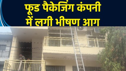 Noida में Food Packaging Company में आग लगने से आसपास के इलाके में मचा हड़कंप