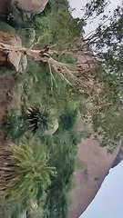 6 June 3:08 Pm 2024 Mountains