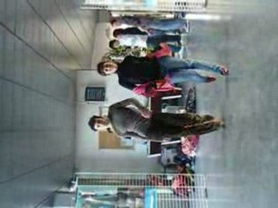 Défilé de mode, à la mode Léonard de Vinci