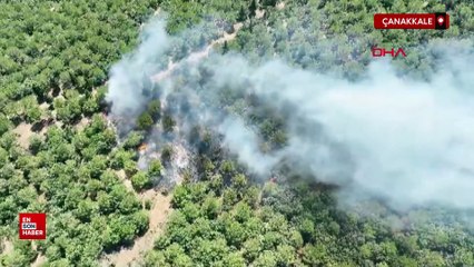 Download Video: Çanakkale'nin Bayramiç ilçesinde orman yangını çıktı