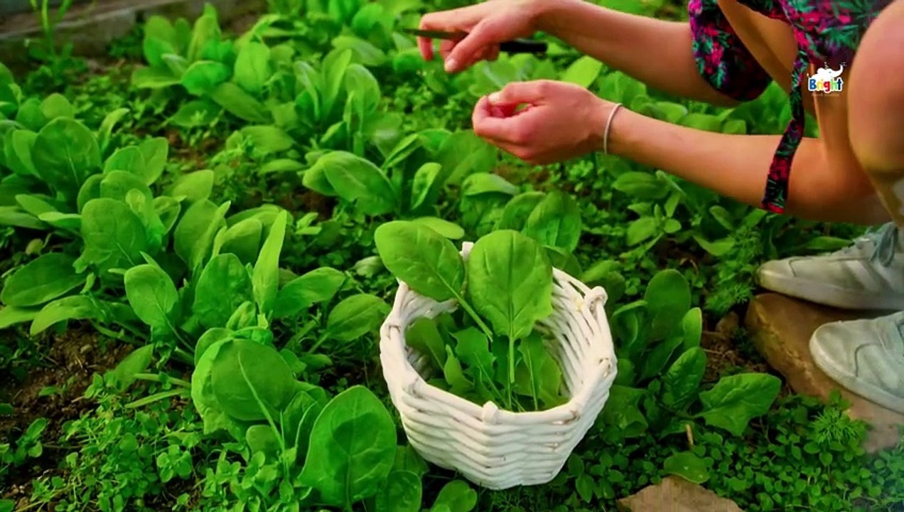 Learn Vegetables names in English | Veggie names | Vegetables for kids and toddlers