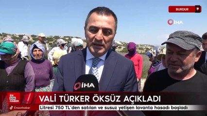 Burdur'da lavanta hasadı başladı