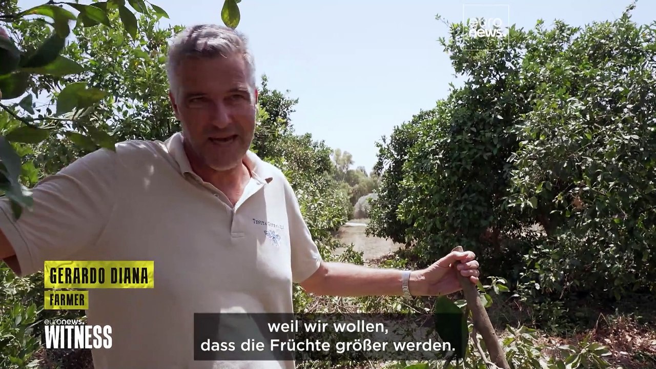 Dürren, Wüstenbildung, Hitzewellen: Die Klimakrise trifft Sizilien hart
