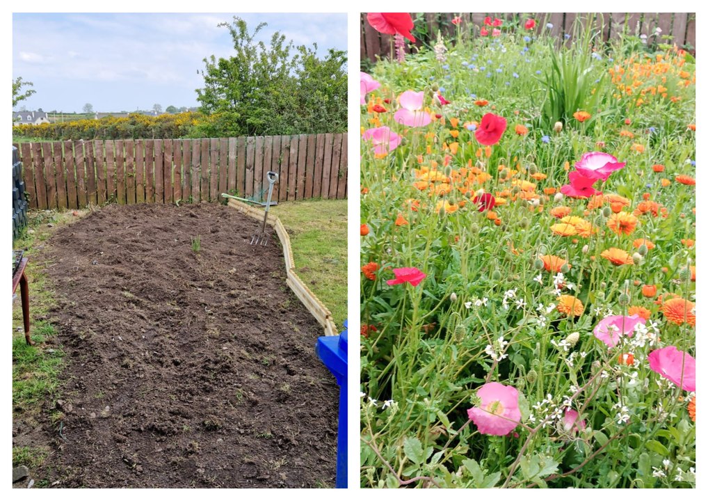 10 week cottage garden - Gardening with Brendan