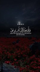 Quran Recitation Day 3 #shorts #reels #viral #quran #islam