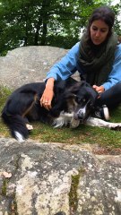 "J’ai vraiment vu mon chien mourir” : elle alerte sur la dangerosité de la leishmaniose