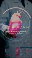 الاستماع لتلاوة القرآن الكريم بمناظر جميلة alaistimae litilawat alquran alkarim bimanazir jamila