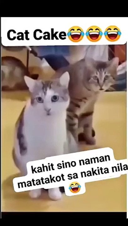 What do you know!.....Mweoooow!