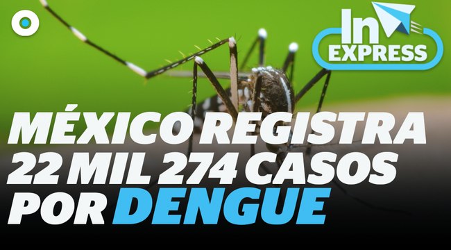 México registra 22 mil 274 casos y 49 muertes por dengue I Reporte Indigo