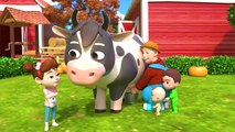 Old MacDonald Had a Farm | Newborn Baby Songs | Nursery Rhymes